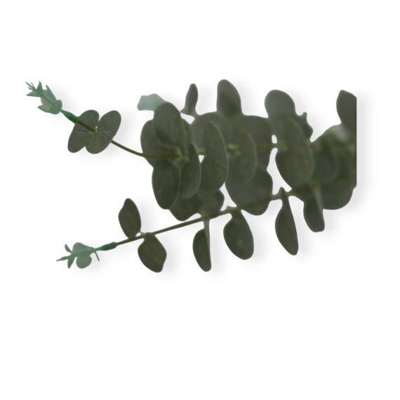Kép 1/2 - Selyemvirág  eukaliptuszszál zöld