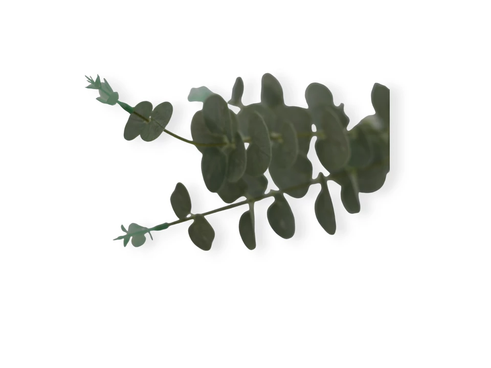 Selyemvirág  eukaliptuszszál zöld