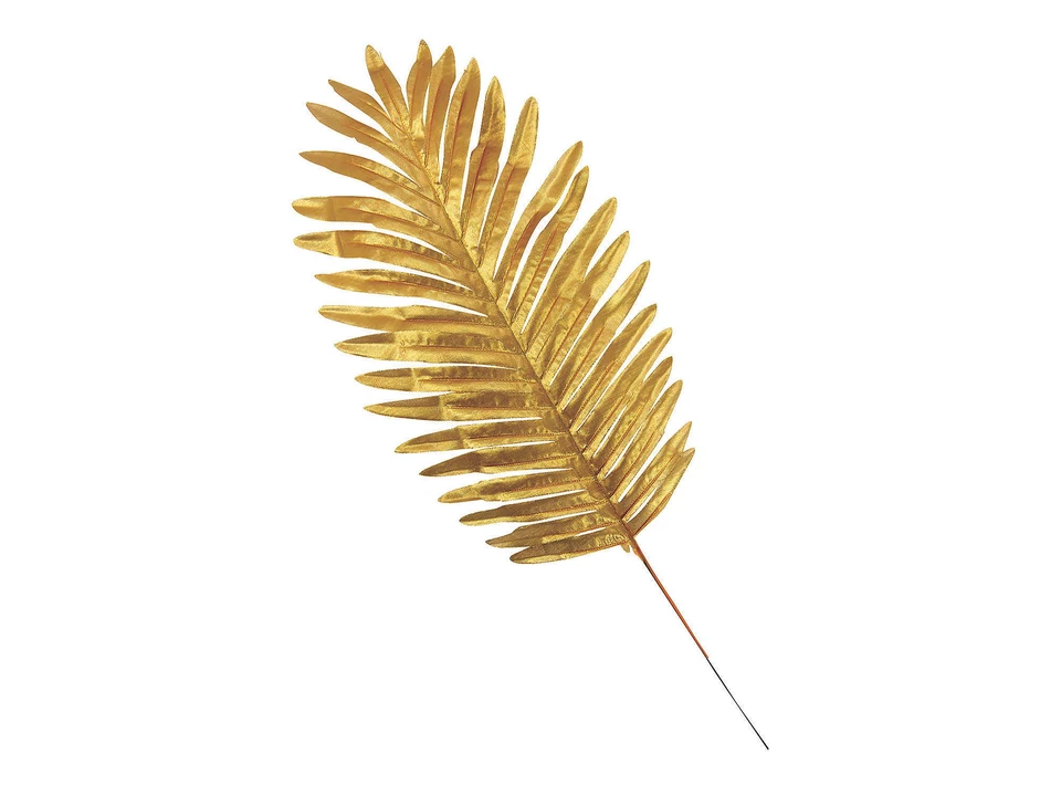 Pampafű natúr színben