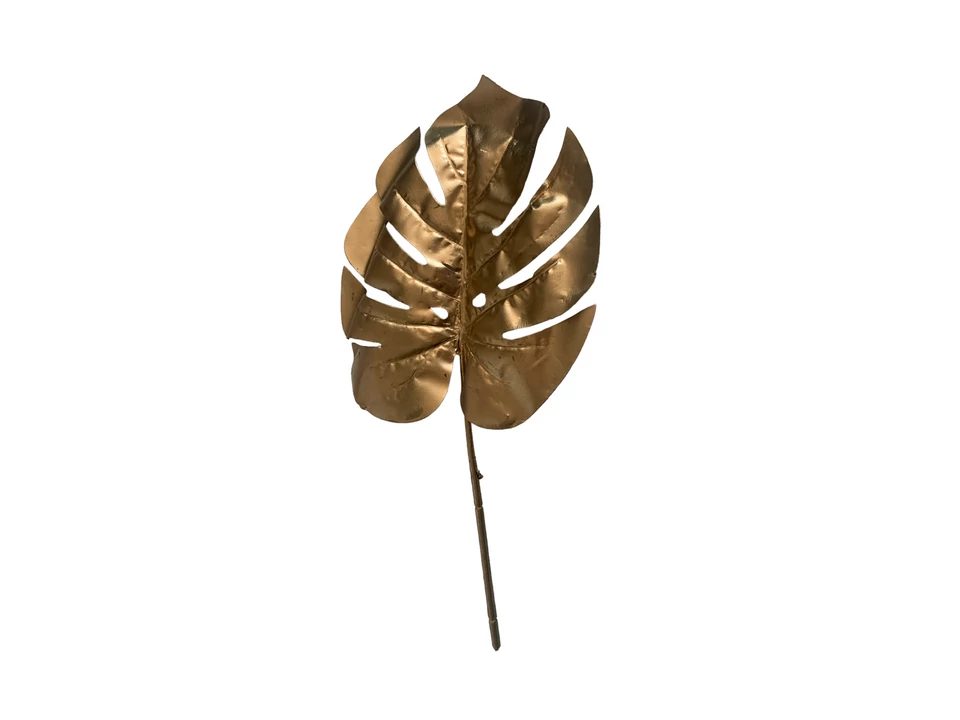 Pampafű natúr színben