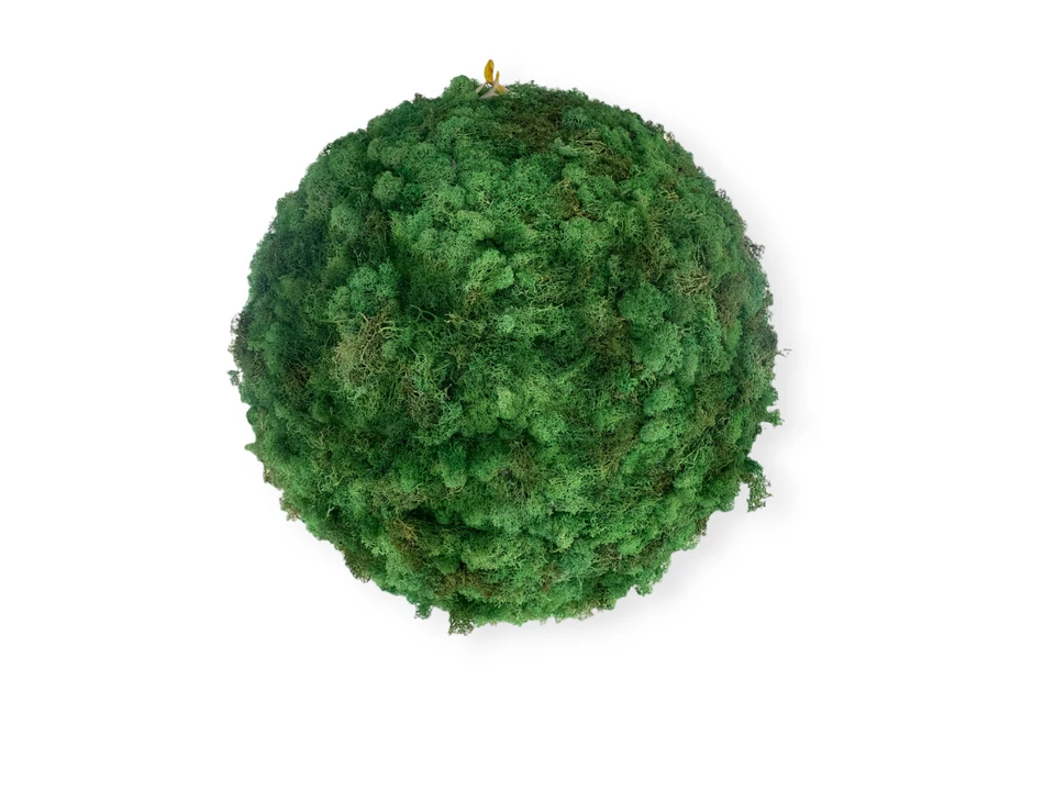 Zuzmógömb 70 cm átmérőjű