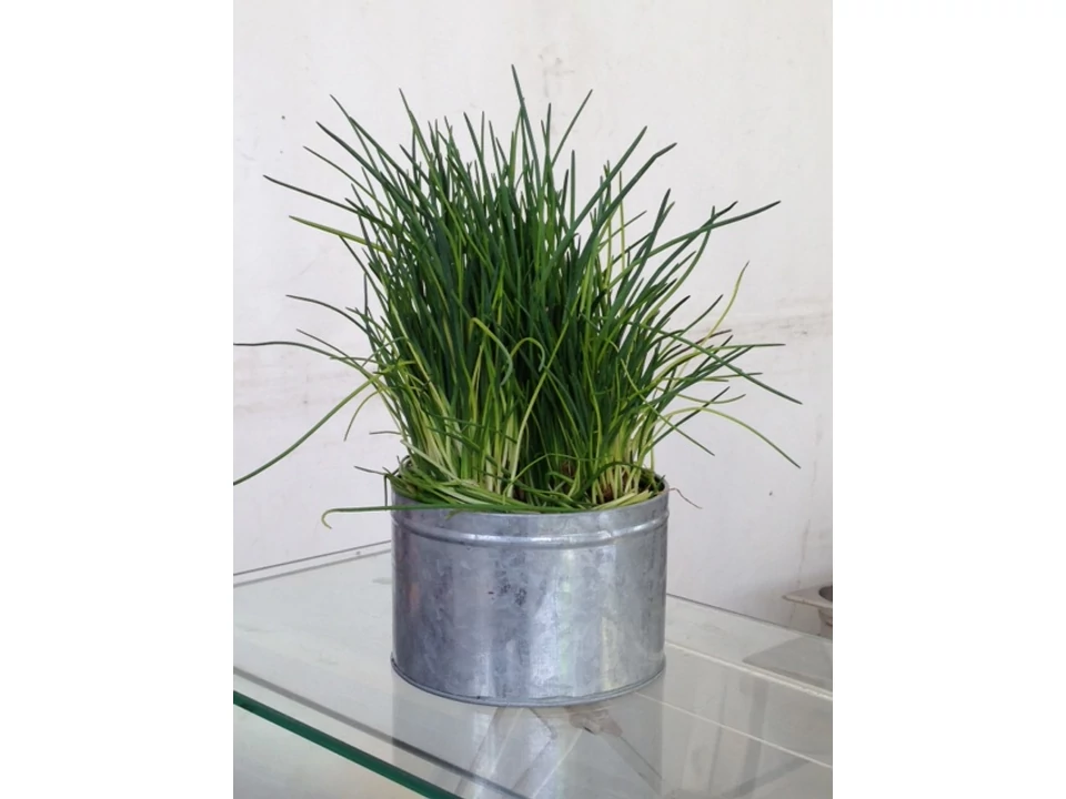 Bádog kerek kaspó normál